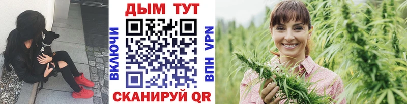 Шишки марихуана OG Kush  Гаджиево 